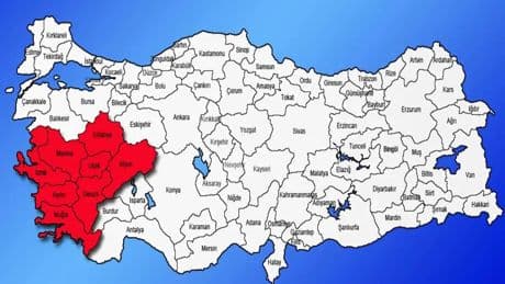 Bu çevre illerde yaşayanlar dikkat! Türkiye'nin en zehirli yılanı o köyde görüldü: Tek ısırığıyla felç edip öldürüyor