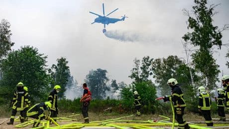 Versicherungen: Die Waldbrandgefahr nimmt auch in Deutschland zu – Anbieter fordern mehr Schutzmaßnahmen