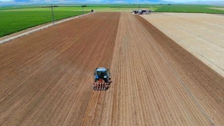 Uygulama başladı: 2 yıl ekilmeyen tarla kiraya verilecek