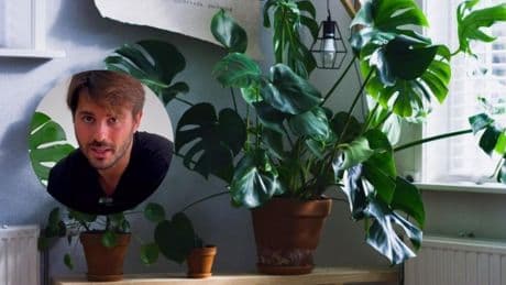 Álvaro Pedrera, experto en plantas: “Mucha gente entra en pánico cuando ve una hoja con una punta marrón o un borde seco, pero las plantas, como los humanos, no tienen por qué ser perfectas”