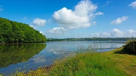Wacker Quay beauty spot water horror as child in dies in major incident