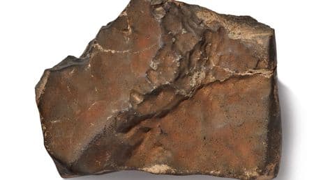 Mars-Meteorit NWA 16788 erzielt Rekordpreis bei Sotheby's Auktion