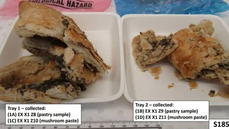 First photos of deadly beef wellington meal cooked by Erin Patterson released