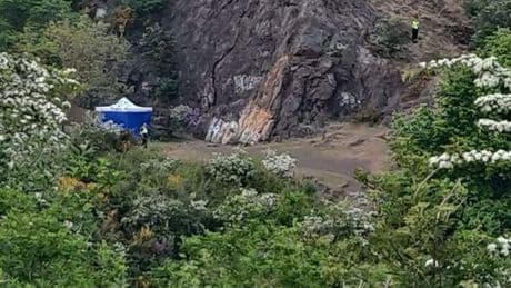 Body of man discovered at Scots beauty spot