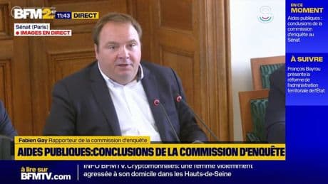 Aides publiques aux entreprises: 211 milliards d'euros versés en 2023, selon la commission d'enquête