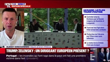 Rencontre entre Trump et Zelensky: "Poutine ne veut pas la paix, et il faut expliquer ça à Trump", indique Oleksiy Goncharenko, député ukrainien d'Odessa
