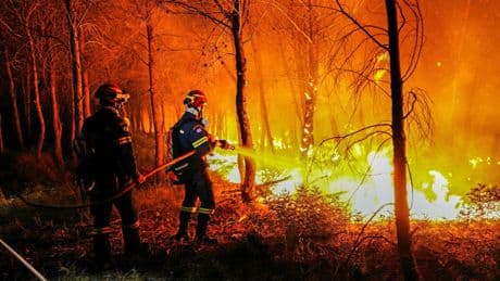 Protection des forêts : « Le manque de consensus et l’absence de volonté politique forte expliquent notre échec »