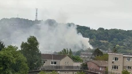 Firefighters race to blaze near Edinburgh Zoo