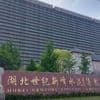 REPORTAGE. "Tout est livré automatiquement à la bouche des animaux" : en Chine, de plus en plus de porcs sont élevés dans des tours d’immeuble