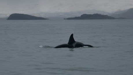 Océan: le sommet de Nice prend fin, avec un cap clair sur la haute mer