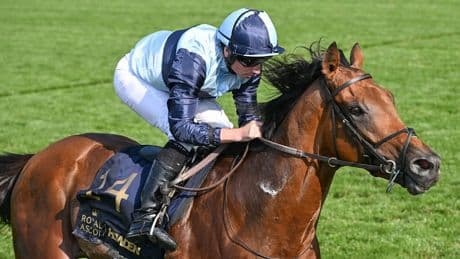 Poker um Derby-Starter - Weltklasse-Trainer kann Geschichte schreiben