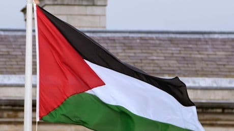 Palestine to raise flag at World Health Organization for first time after historic vote