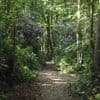 Cinq lieux incontournables à découvrir autour du bois du Breuil, en Normandie