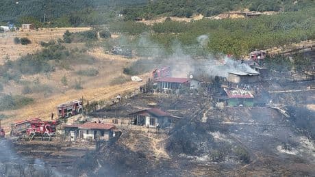 Kocaeli'de orman yangını: Alevler evlere sıçradı