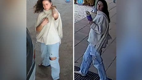 Polizei findet verlassenen Van von Carolina Wilga