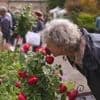 Dans un documentaire inédit, France 5 creuse dans la passion des Français pour le jardinage