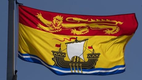 New Brunswick is delaying the release of a report about a mystery brain disease