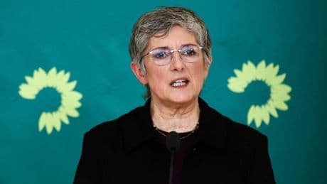 Grüne schicken 18 Fragen zu Grenzkontrollen an Bundesregierung
