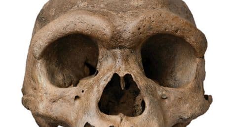 El enigmático hombre dragón no era una nueva especie humana, sino un denisovano