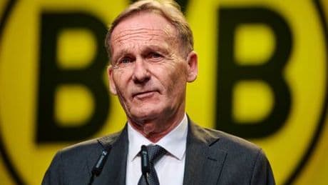 Borussia Dortmund geht gegen AfD-Wahlwerbung vor