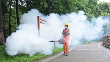 Chikungunya virus: How bad is the China outbreak and could it spread to the UK?