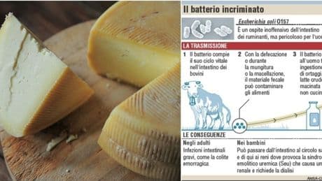 ?Prodotti a base di latte crudo, ecco a cosa fare attenzione e chi sono le persone a rischio