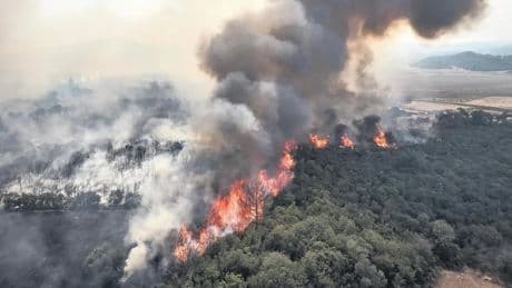 Alevlere karşı seferberlik ruhu