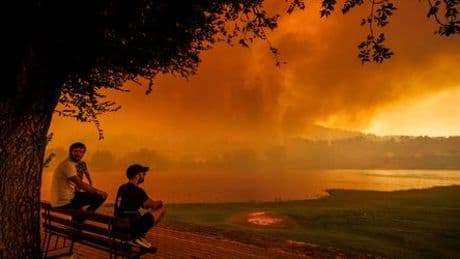 Extremwetter in Europa: Rekord-Waldbrände als neue Normalität