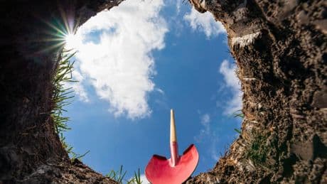 Regenerative Intent: How AI Can Heal Instead Of Harm