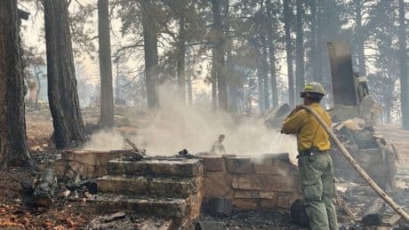 Arizona Governor Seeks Investigation of Federal Handling of Grand Canyon Fire