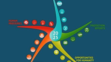 Que dit Starfish, le premier bulletin de santé des océans ?