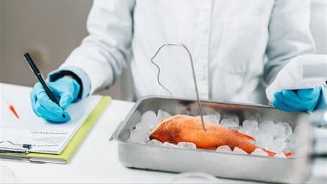 Contamination au cadmium: faut-il s’inquiéter de ce métal lourd présent dans nos assiettes?