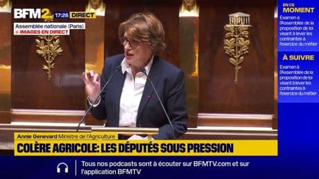 Loi Duplomb: la charge d'Annie Genevard contre LFI et les Verts