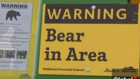 Alberta Parks issues bear warning for all provincial parks in Kananaskis and the Bow Valley