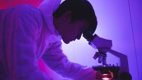 Scientists issue 'end of world' warning over extreme 'mirror microbe' threat