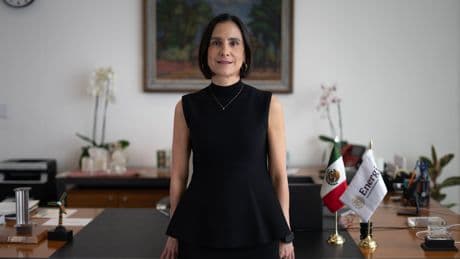 Luz Elena González: “No estamos en contra de la inversión privada, es fuente importante del desarrollo de México”