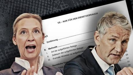 Das sind die sieben Kernvorwürfe gegen die AfD im Gutachten des Verfassungsschutzes
