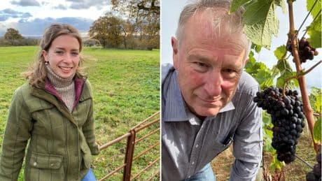 Farmers switching from grain to English wine after sweltering summers