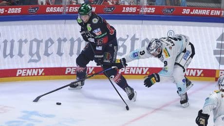 Der Meister mit Kunststücken - Eisbär Tiffels zaubert mit dem Fuß