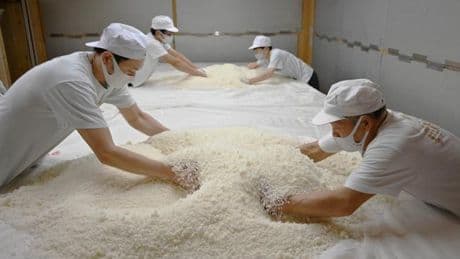 Pourquoi le saké japonais devient de plus en plus sucré