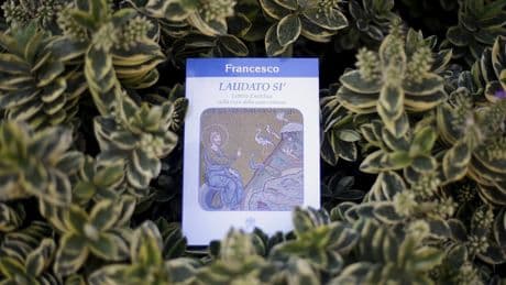 Cinq choses surprenantes (et peu connues !) à savoir sur Laudato si’