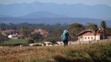 «Étonné par l’écoute et la bienveillance» : ils ont marché jusqu’à Compostelle… et trouvé bien plus qu’un chemin
