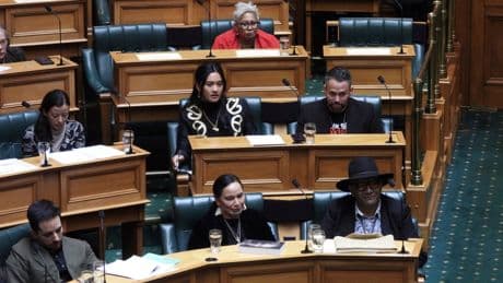 New Zealand Parliament votes for record suspensions of 3 lawmakers who performed Māori haka