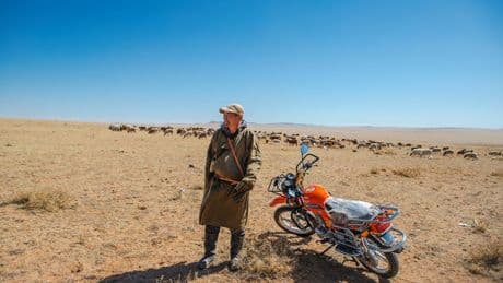 Weides verdwijnen en de woestijn rukt op. Klimaatverandering bedreigt het nomadische leven in Mongolië