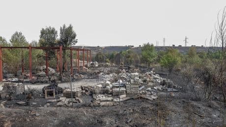 Madrid cifra en 3.710 las hectáreas arrasadas por los incendios y se personará en los juicios contra pirómanos