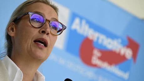 Alternative für Deutschland | AfD: Mehr »Mitte«, weniger Verbotsgefahr
