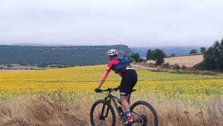 Un paseo entre floridos campos de girasol e iglesias del siglo XII