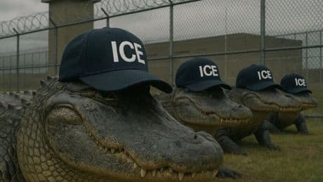 Trump administration taunts detained migrants with ICE alligators at proposed Florida prison
