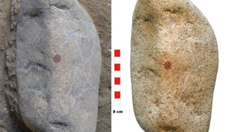 Fingerprint made by Neanderthal 43,000 years ago could be world’s oldest portrait