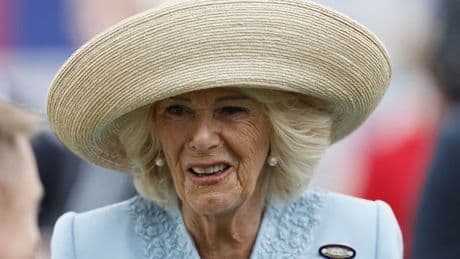 Queen Camilla 'hit man's privates with shoe' when he tried to grope her, claims book